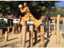 7 Months Mei Hua Poles, Shaolin Kung Fu Training, China