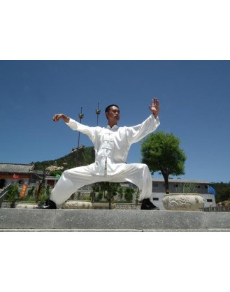 5 Years Mastering Kung Fu in China