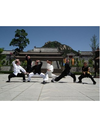 3 Years Kung Fu Training in China