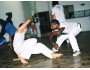 7 Days Brazilian Capoeira Training