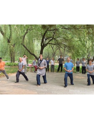 3 Days Zen Shaolin Kung Fu Training in Beijing, China