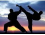 10 Days Taekwondo and Kickboxing Training in Bali, Indonesia