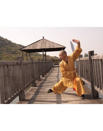 5 Months Kung Fu Training in China with Shaolin Masters
