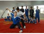 Год подготовки инструкторов по Ушу | Шаолинь Акадения Tagou - Хэнань, Китай