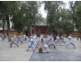 9 Months Martial Arts with Shaolin Monks in China