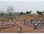 5 Days Chinese Martial Arts Training in Handan, China
