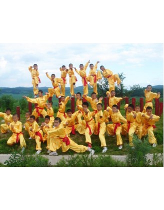 1 Year Traditional Shaolin Kung Fu Training in China