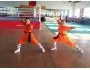 5 Years Advance Wing Chun & Kung Fu Training in China