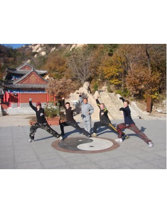 6 Months Chinese Kung Fu Training in Yantai, China