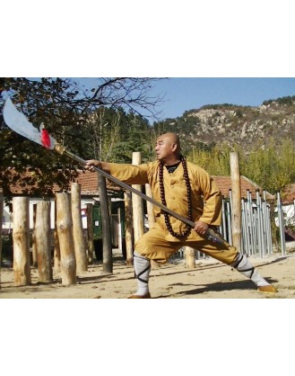 4 Months China Kung Fu Training, Wingchun, Bagua Styles