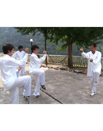 2 Weeks Tai Chi, Qi Gong, and Kung Fu Vacation in China