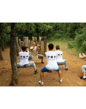 1 Week Shaolin Temple Kung Fu Training Experience in China