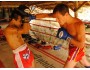 1 Week Muay Thai Training in Koh Phangan | Horizon Camp