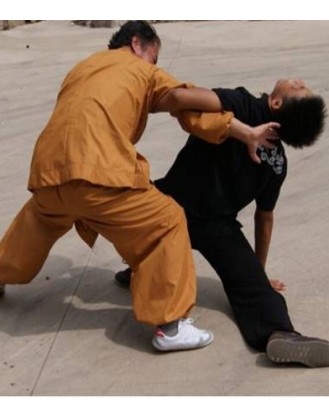 1 Year Genuine Martial Arts Training in Shandong, China