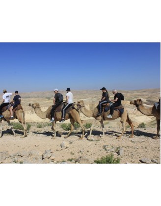 10 дней Крав-мага приключений в израильской пустыне | Krav Maga Global (KMG) - Kadima, Israel