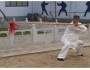 15 Days All-Inclusive Bajiquan Kungfu Training in China