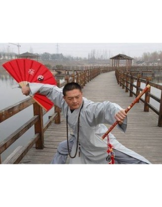 9 Months Shaolin Kung Fu Training in China