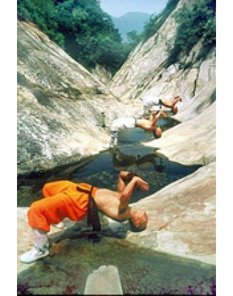 6 осваивания навыков Kung Fu и Tai Chi | Qufu Shaolin School - Шаньдун, Китай