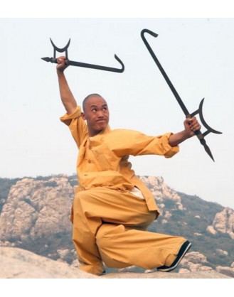 1 Year Shaolin Kung Fu Instructor Trainee in China