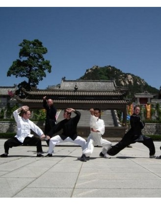 3 Months Kung Fu Training in China in Weihai, China