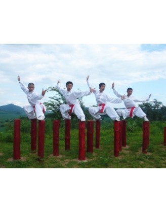 4 Years Wing Chun, Tai Chi & Kung Fu Vacation in China