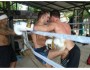 1 Month Muay Thai Training in Thailand