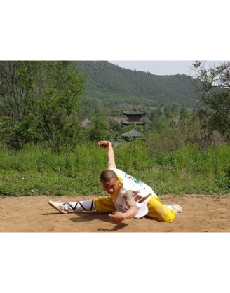9 месяцев занятий боевыми искусствами с монахами | Суншань Шаолинь Ушу Академия - Хэнань, Китай