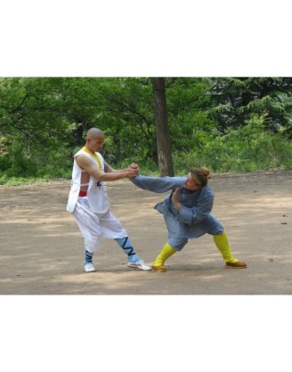 1 Year Train Kung Fu in China with Shaolin Warrior Monk