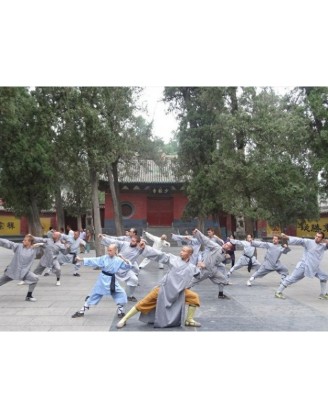 2 месяца изучения Суншань-Кунгфу | Суншань Шаолинь Ушу Академия - Хэнань, Китай