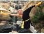 1 Year Wushu Instructor Training in Dengfeng, China