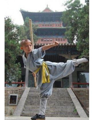 2 года Кунг Фу и изучения китайской культуры | Горный шаолиньский монастырь Тайзу - Хэбэй, Китай