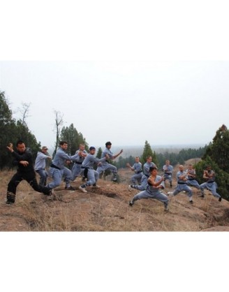 2 Years Kung Fu and Chinese Culture in Handan, China