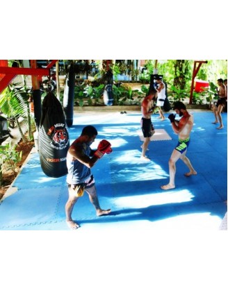 1 Week All-inclusive MMA & Muay Thai Training in Phuket