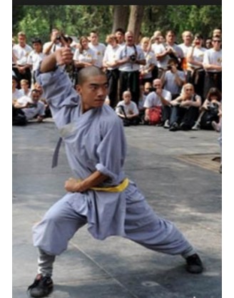 1 Year Intensive Martial Arts Training in China