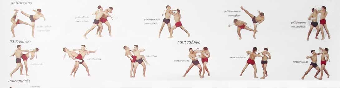 клуб тайского бокса